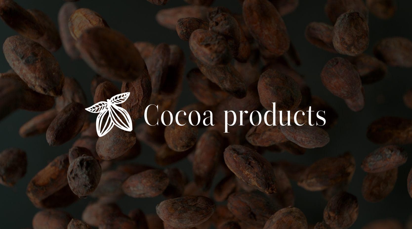 Cocoa products B2B landing page preview